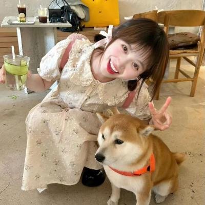 魔法精灵 海报